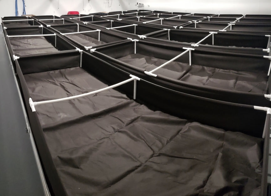 Raised Beds