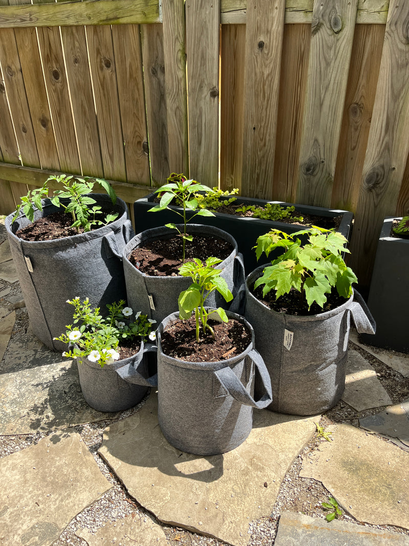 Grow Bag Garden Variety 5-Pack