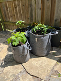 10 Gallon Grow Bags