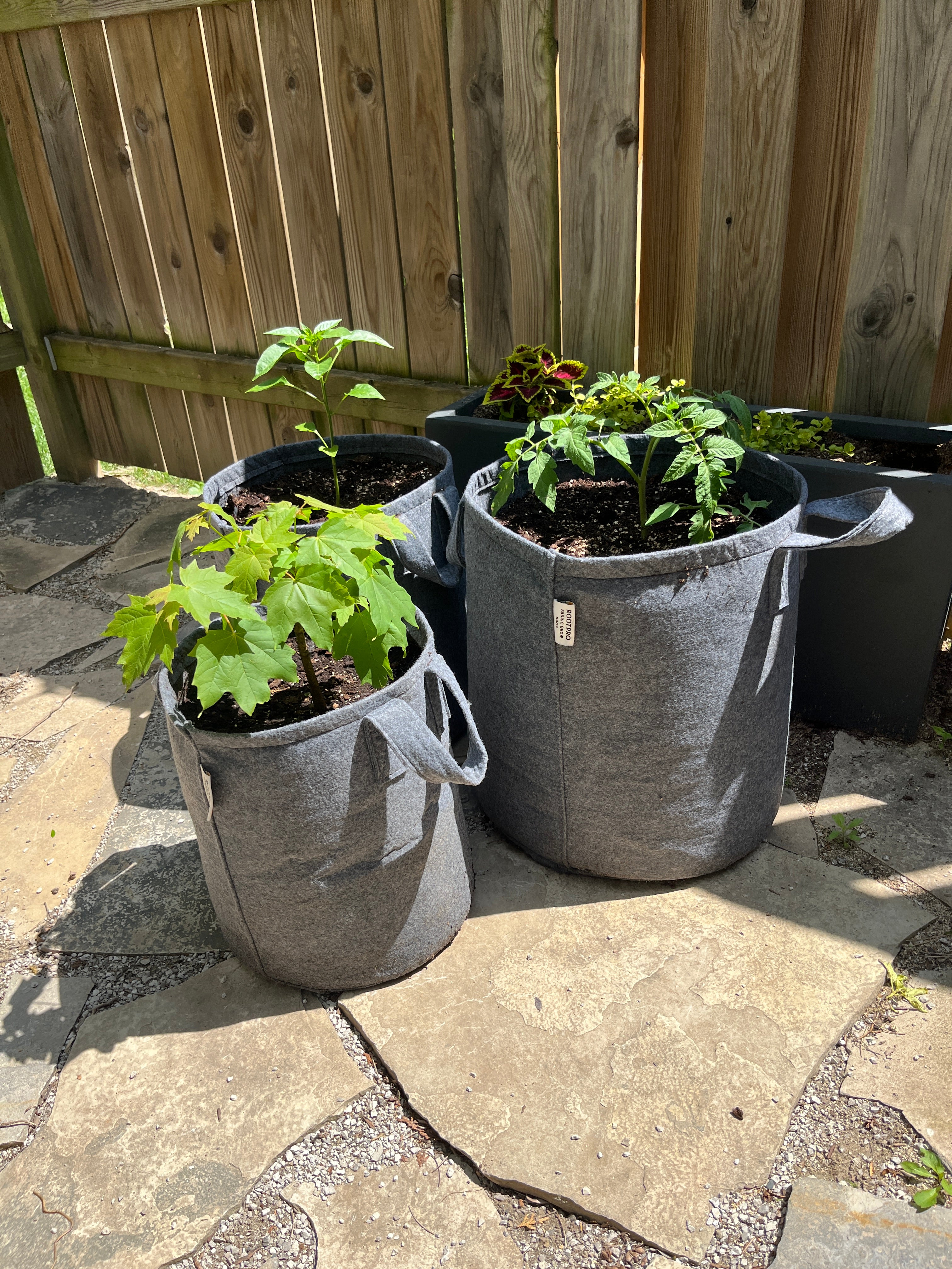 10 Gallon Grow Bags