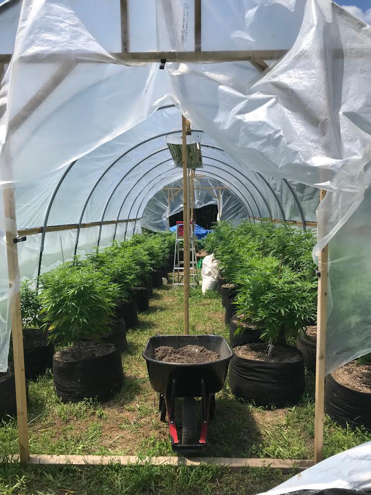 30 Gallon Grow Bags
