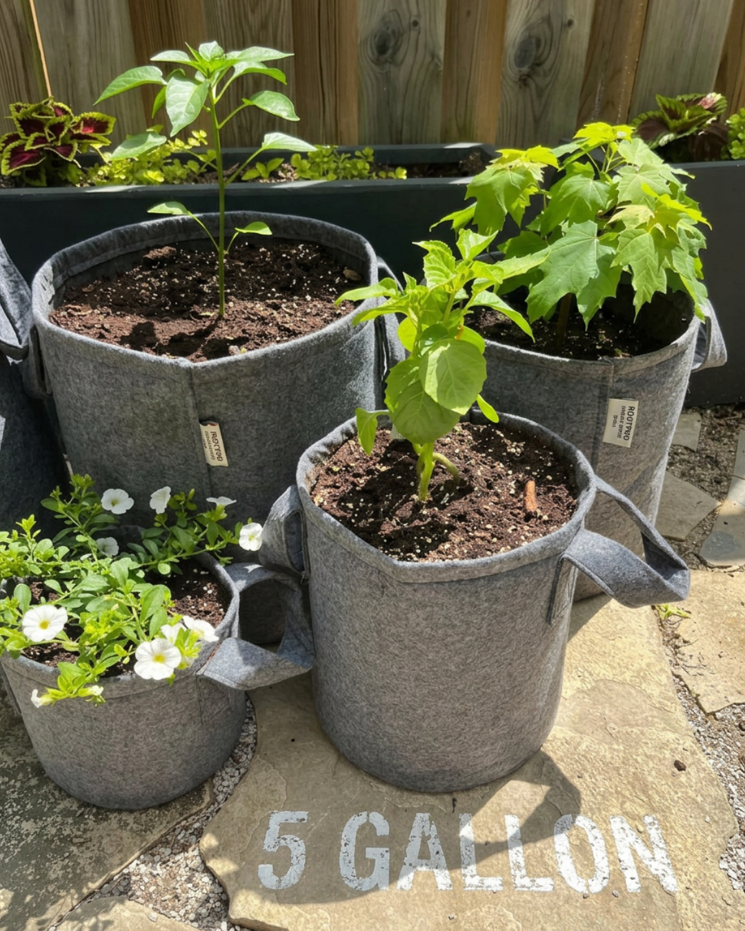 5 Gallon Grow Bags