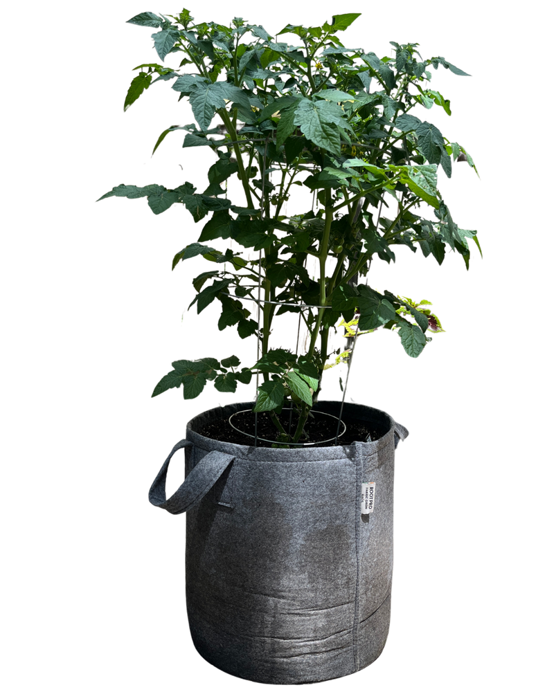 10 Gallon Grow Bags